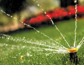 автоматический полив