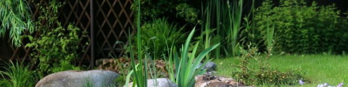 Природный камень