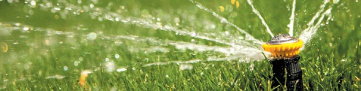 автоматический полив