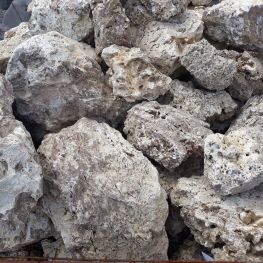 Камень Риф Товтры