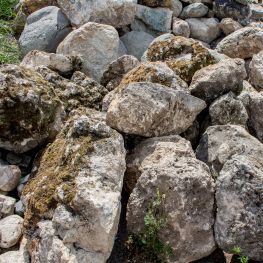 Камень лесной с мхом