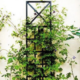 Шпалера пристенная MS-OST-101