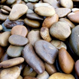 Галька Ладошка