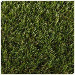 Искусственная трава Popular 25