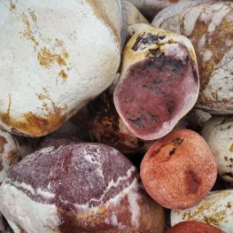 Валун цветной