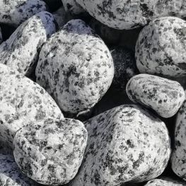 Галька покостовка