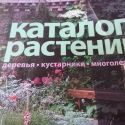 Создание проектных работ